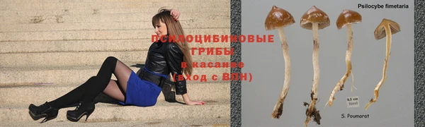 синтетический гашиш Алексеевка